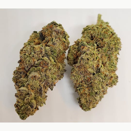 AREA 626 - AREA 626 - Jealousy 28g - 1