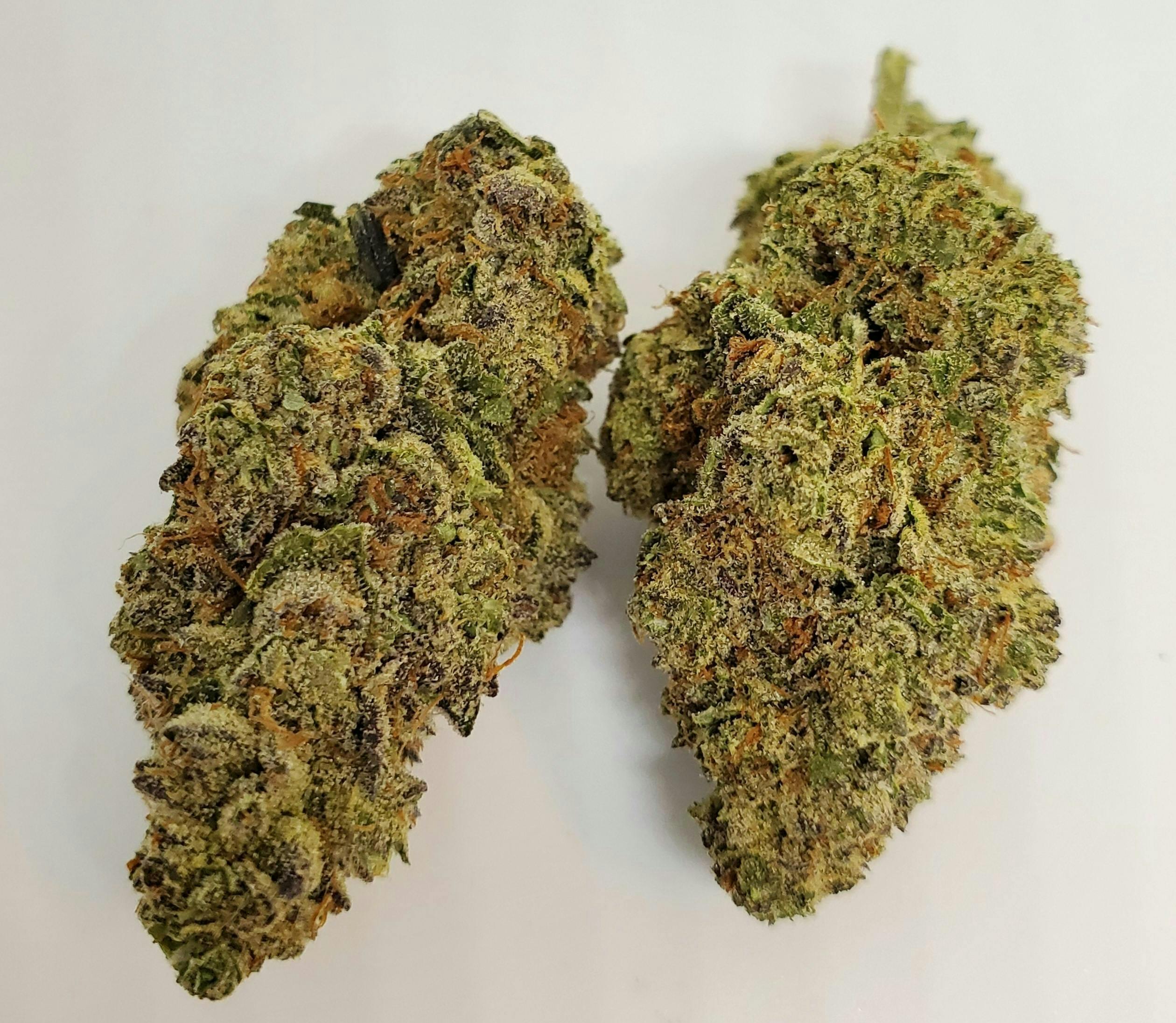 AREA 626 - Area 626 | Jealousy | Big Buds | 28g - 1
