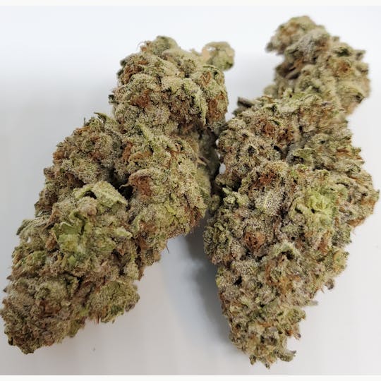 AREA 626 - AREA 626 - Tiger's Milk 28g - 1