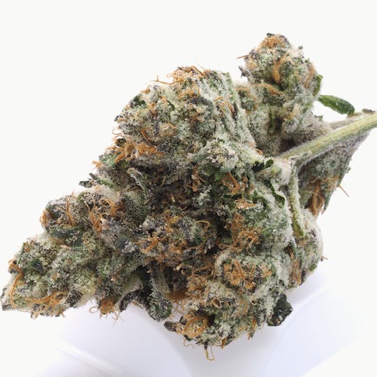 Inadaze - Inadaze | Sweet Gas Gelato Premium 1/8 - 1