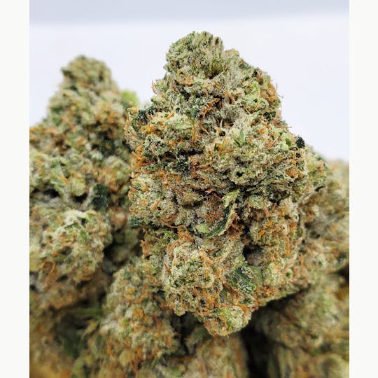 World Class Cannabis - Mars OG - 1