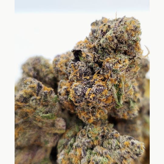 World Class Cannabis - Rainbow Zkittlez - 1