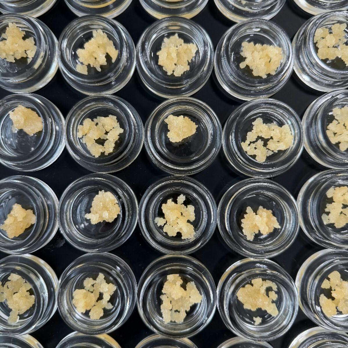 Fireweed Extracts - GMO Terp Sugar - 3.5g Big Jar - 1