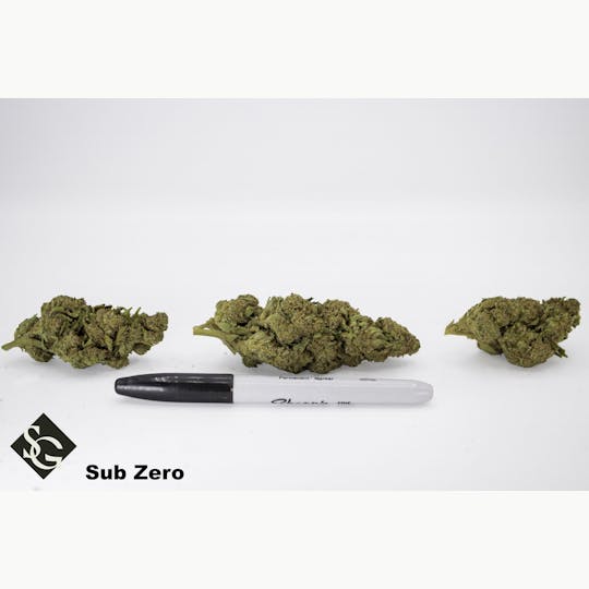 High Life Farms - MI - Switchgrass - Sub Zero Bulk - 1
