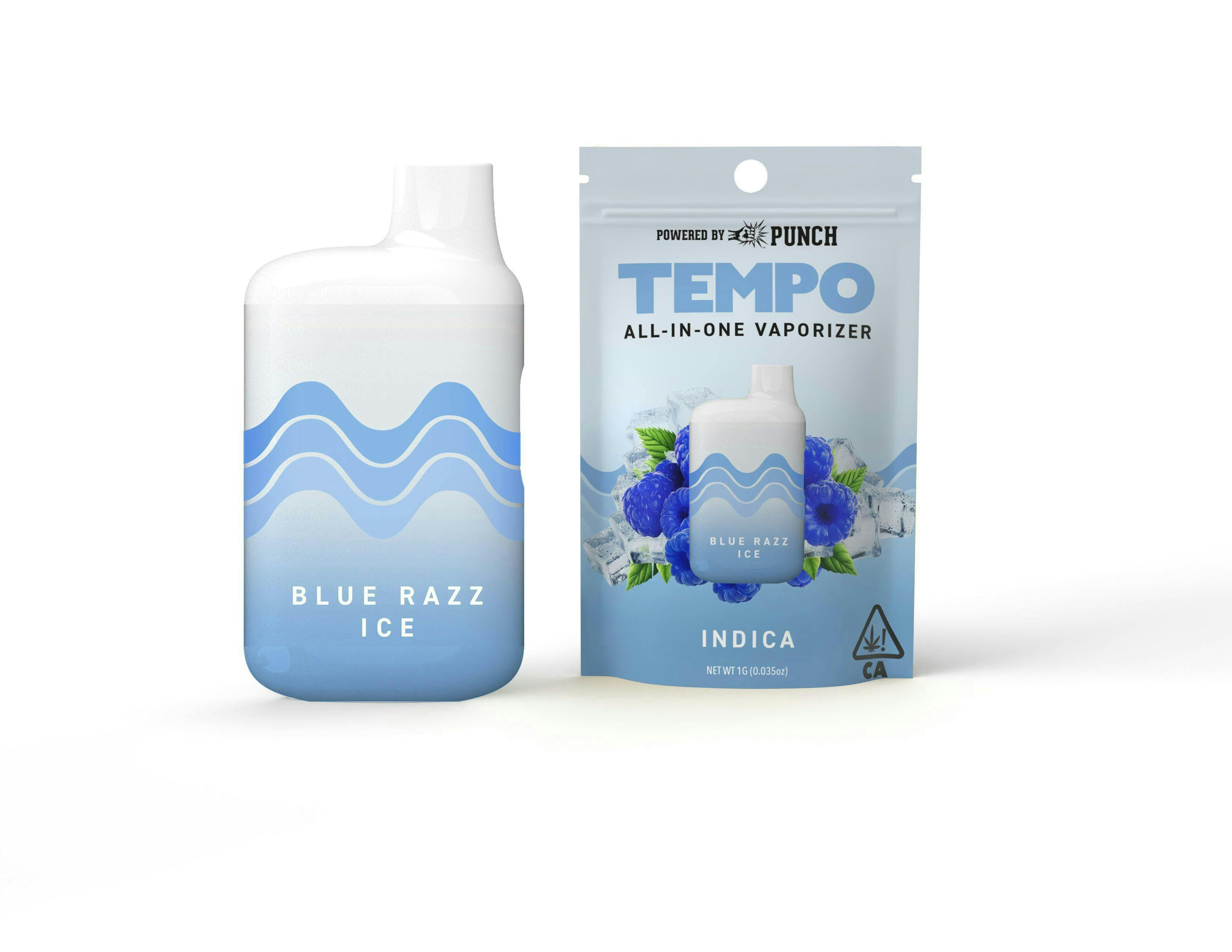 Tempo - Tempo | Blue Razz Ice | AIO Disposable | 1g - 1