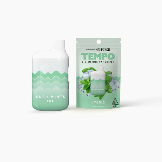Tempo | Kush Mints Ice | AIO Disposable | 1g - Tempo Tempo | Kush Mints Ice | AIO Disposable | 1g - Tempo