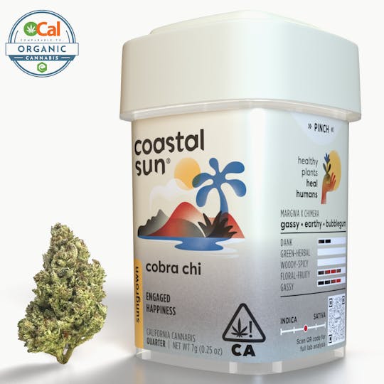 Coastal Sun - Cobra Chi Sungrown Flower 7g - 1