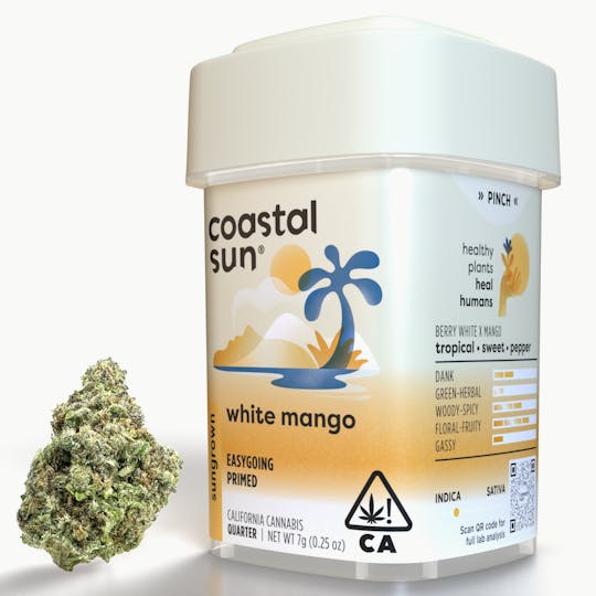 Coastal Sun - White Mango Sungrown Flower 7g - 1