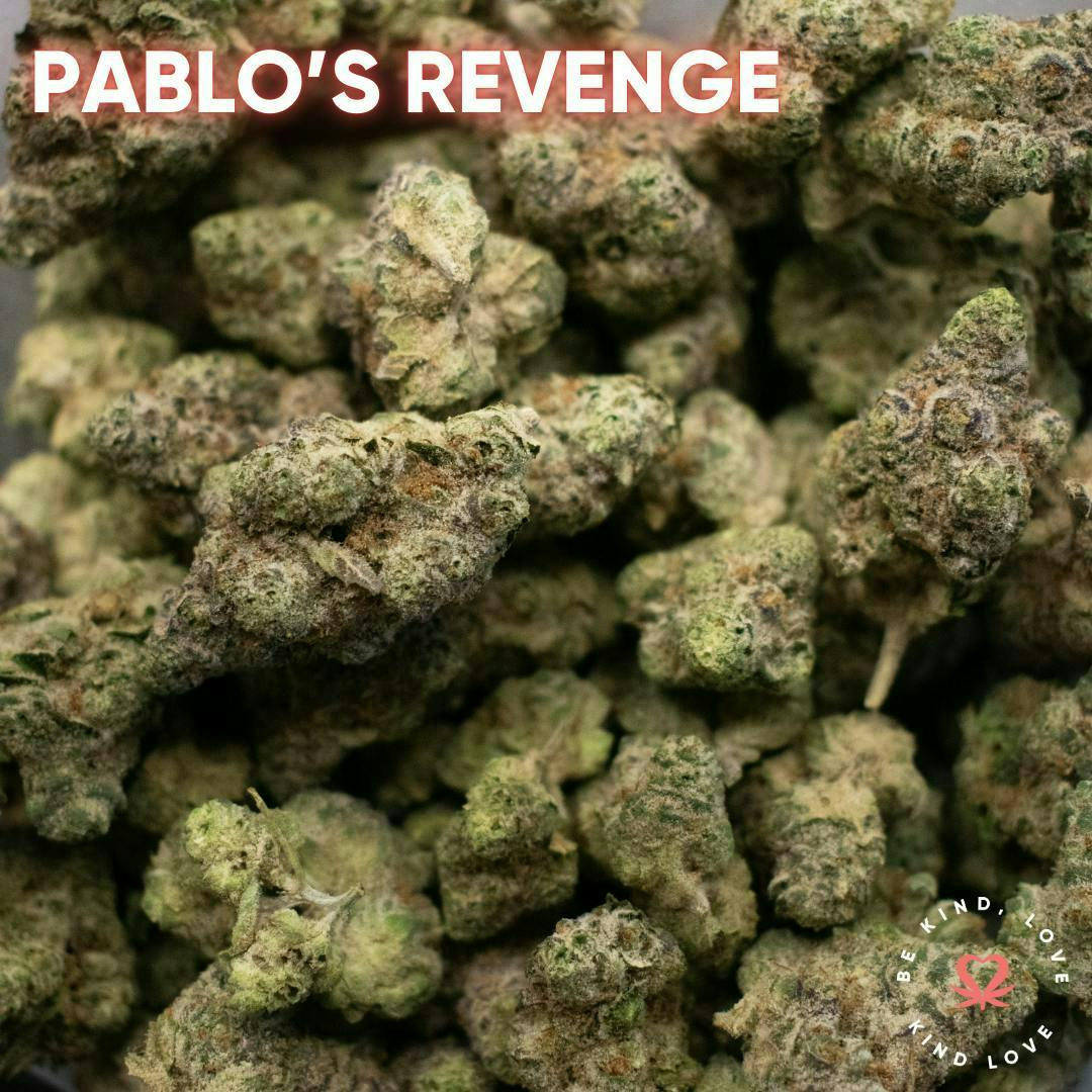 Kind Love Brand - Kind Love | Pablo's Revenge | Flower - 1