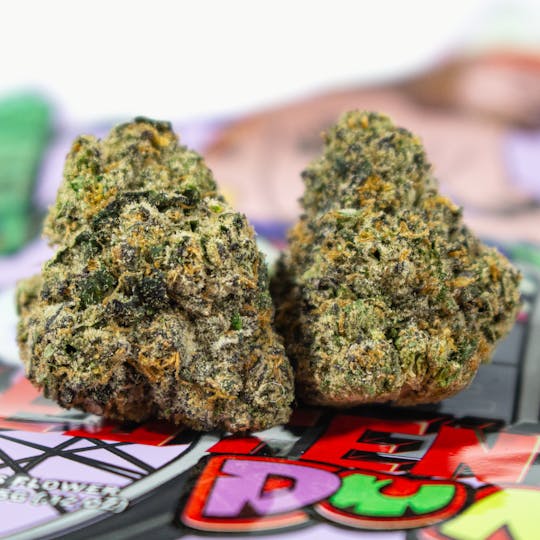 TEDS BUDZ - Lt. Duntz - 1