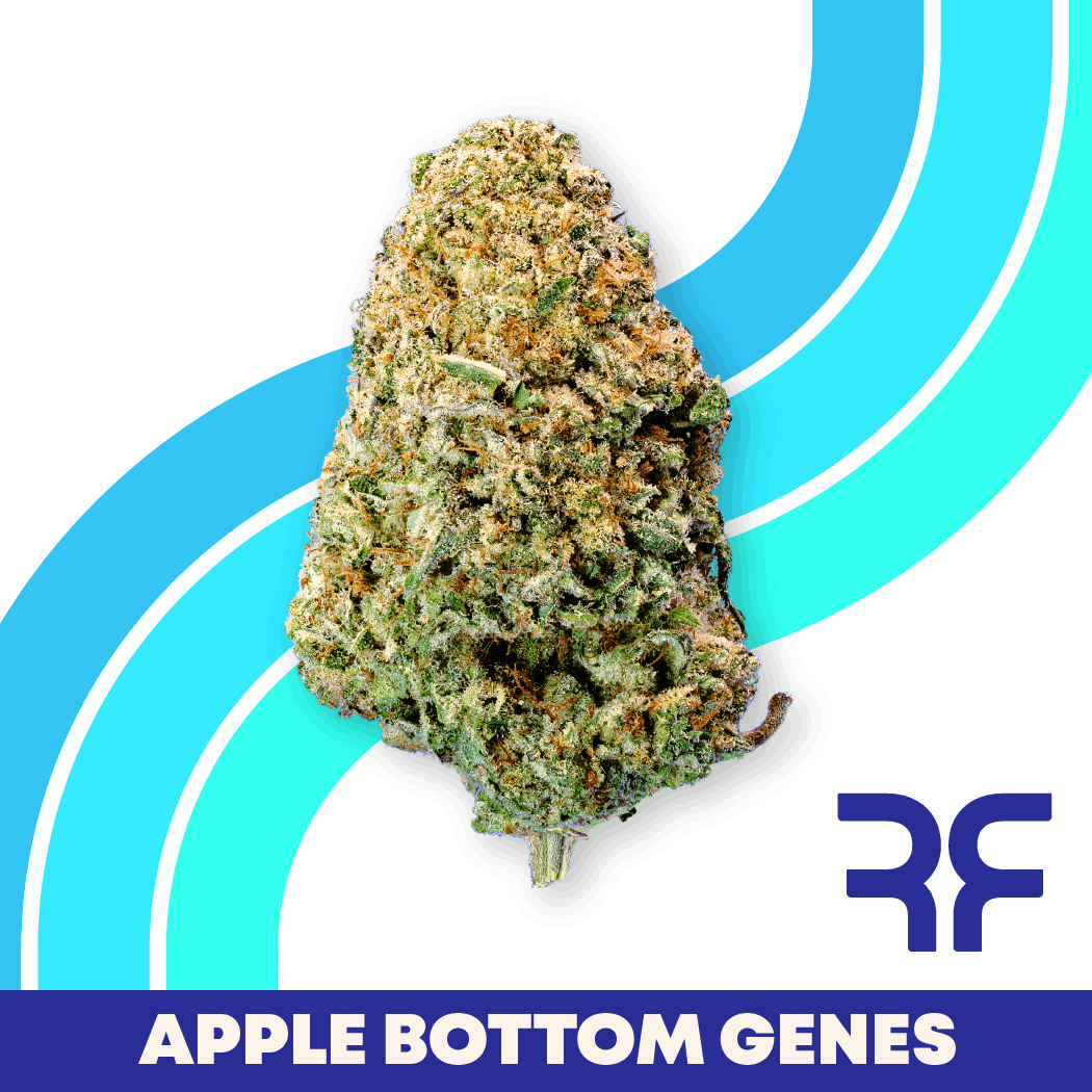 REEF Cannabis - Apple Bottom Genes Whole Flower - 1