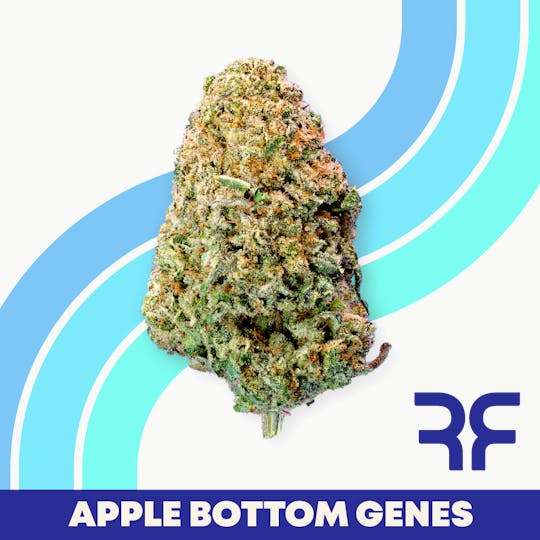 REEF Cannabis - Apple Bottom Genes Whole Flower - 1