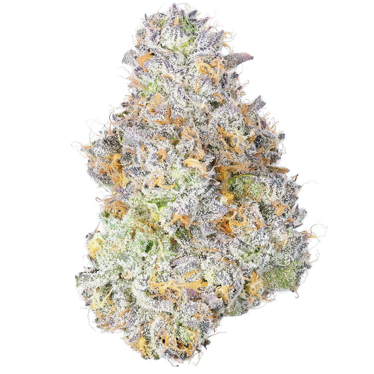 Fig Farms - Blue Face Rainbow Belts - 1