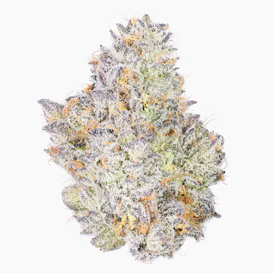 Fig Farms - Fig Farms | Blue Face Rainbow Belts | Big Buds - 1
