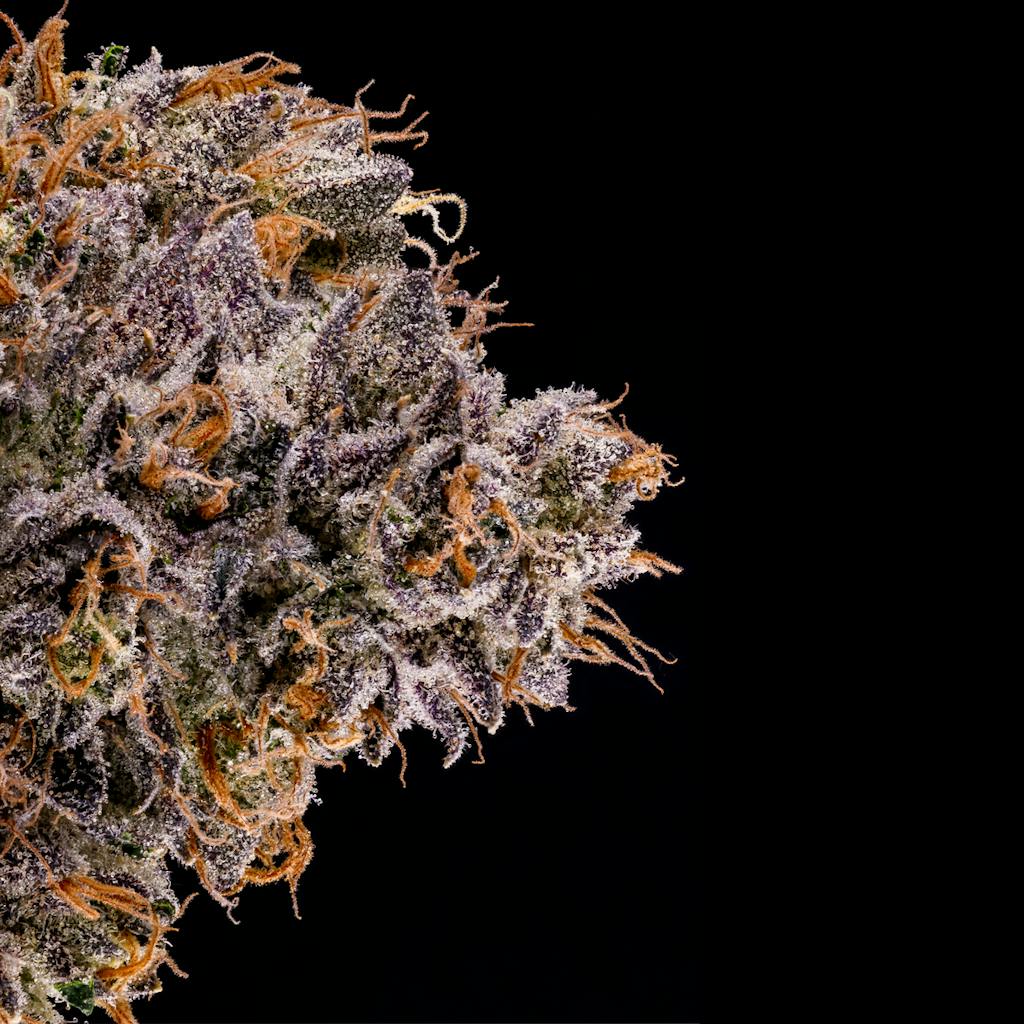 Rapper Weed - Fig Farms