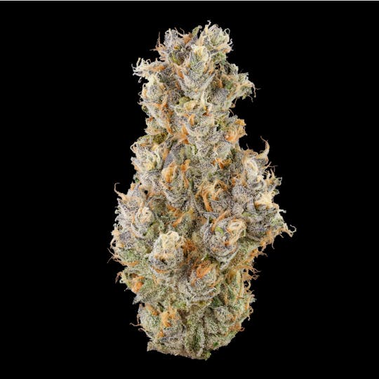 Fig Farms - Krypto Nectarines - 1