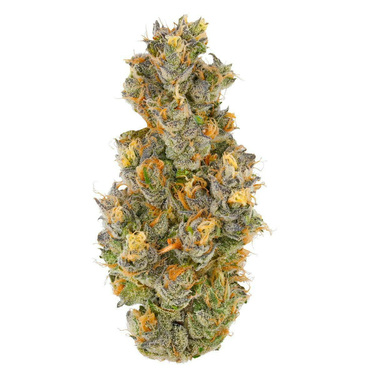 Fig Farms - Fig Farms | Krypto Nectarines | Big Buds - 1