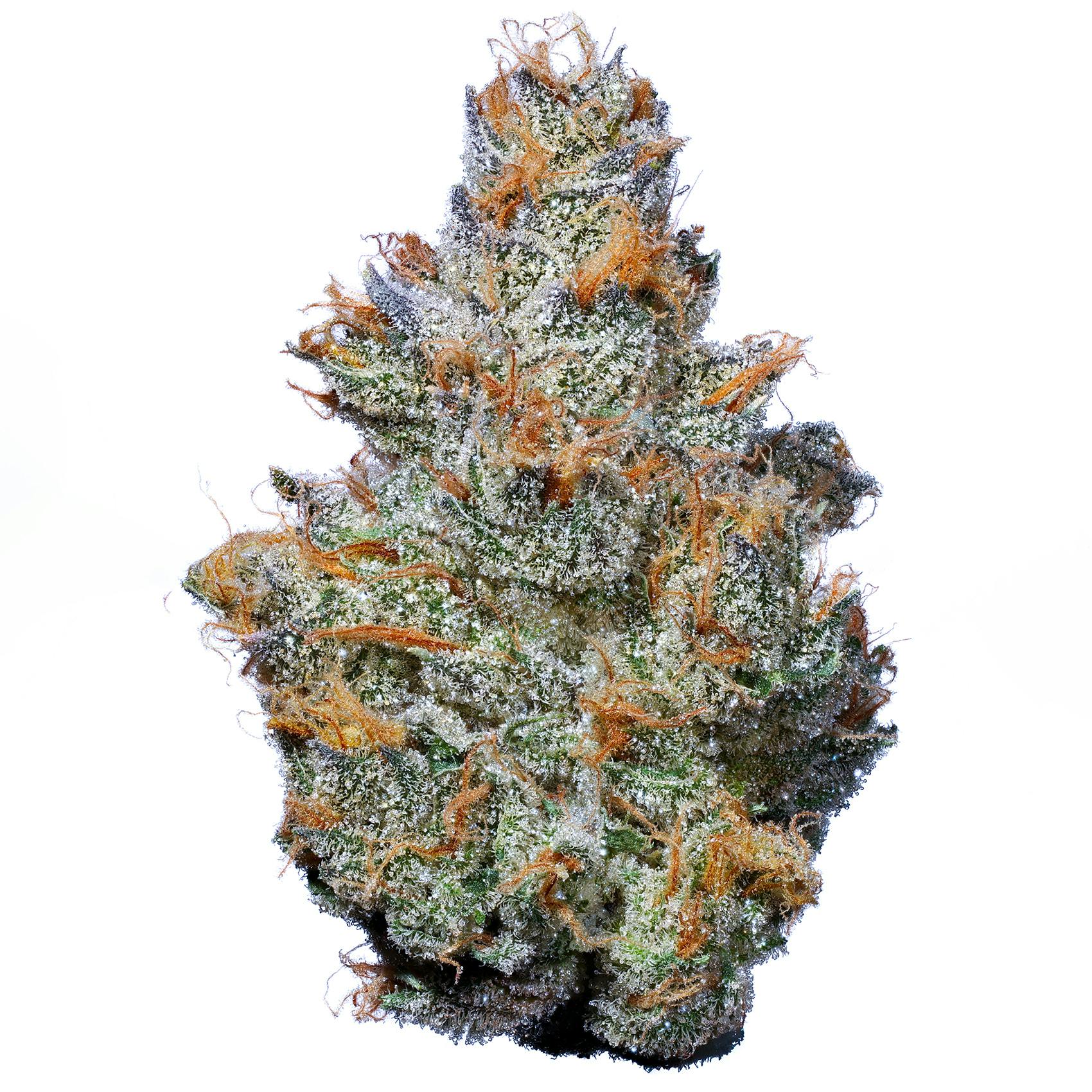 Fig Farms - Fig Farms | Krypto Nectarines | Big Buds - 1