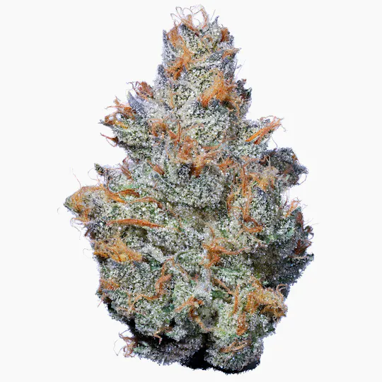 Fig Farms - Fig Farms | Krypto Nectarines | Big Buds - 1