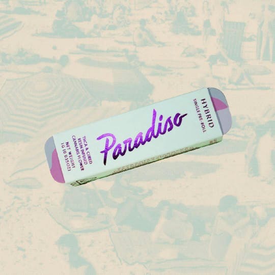 Paradiso Gardens - Paradiso Infused Preroll | Glitter Bomb (1g) - 1