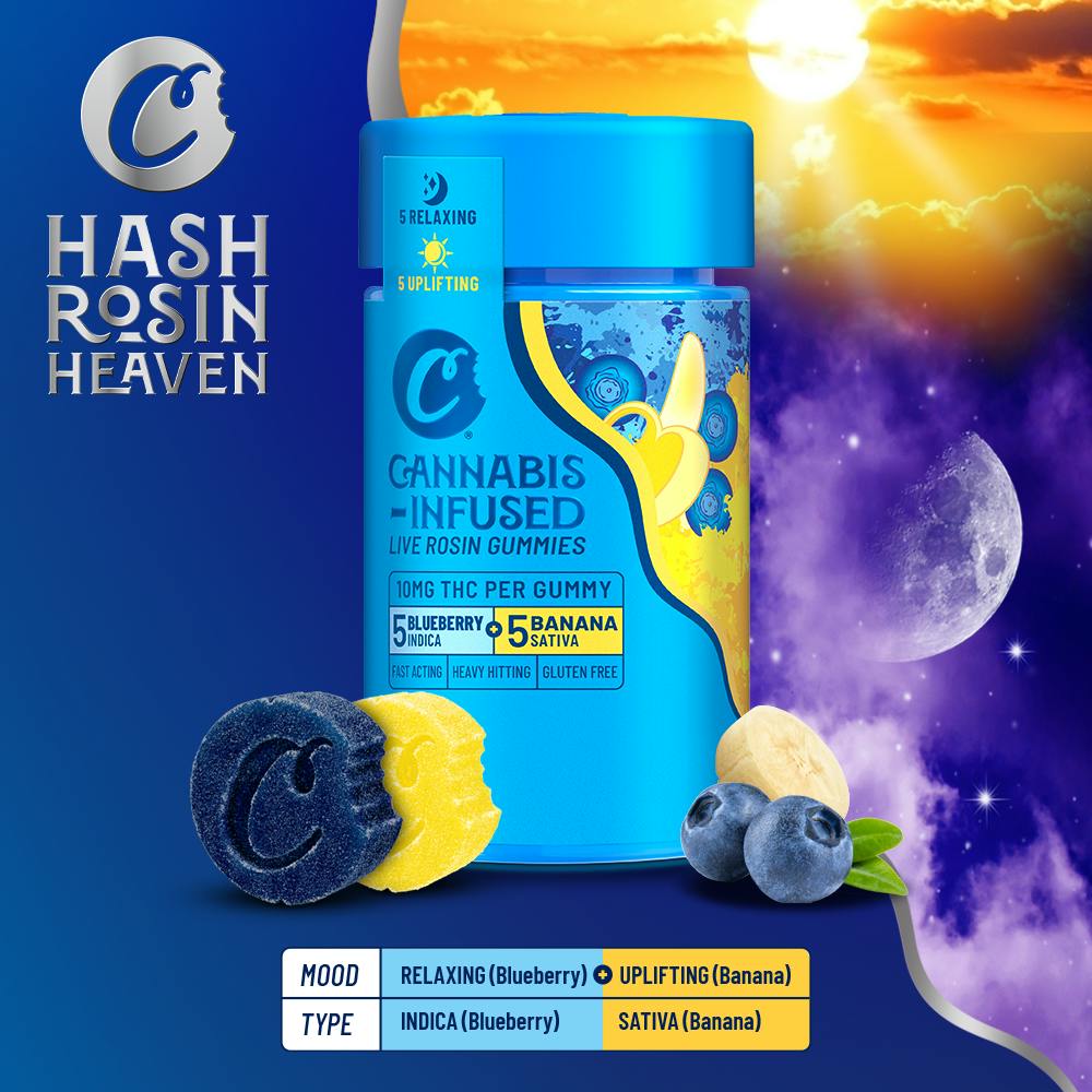 Cookies - Cookies - Live Rosin Gummies - Blueberry Banana (Half and Half) - 10pk - 1