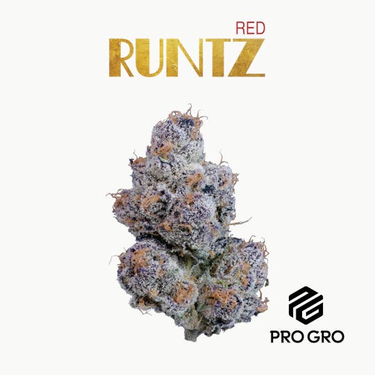 Pro Gro - Red Runtz Pre-Roll | 1g - 1