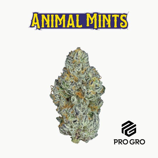 Pro Gro - Animal Mintz Pre-Roll | 1g - 1