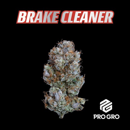 Pro Gro - Brake Cleaner Live Resin Disposable | 1g - 1