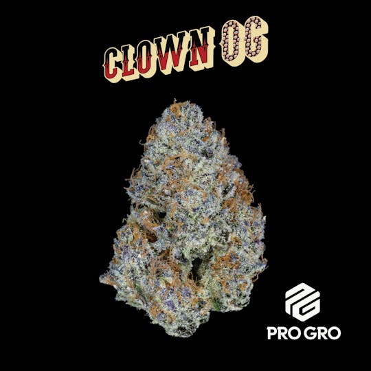 Pro Gro - Clown OG Pre-Pack | 3.5g - 1