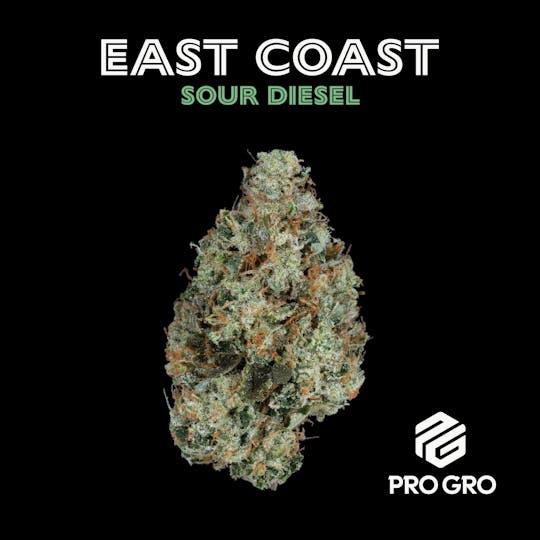Pro Gro - East Coast Sour Diesel Pre-Pack |3.5g - 1