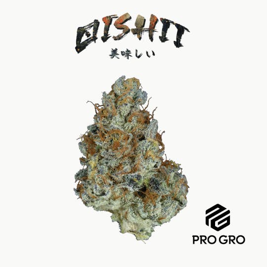 Pro Gro - Oishii Pre-Roll | 1g - 1