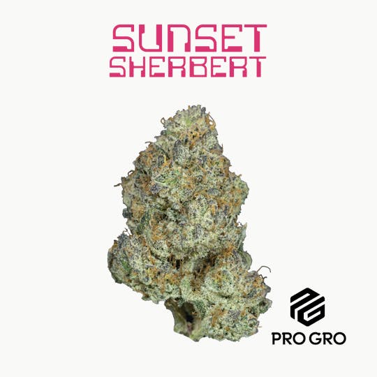 Pro Gro - Sunset Sherbert Live Resin Disposable | 1g - 1