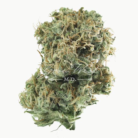 Grow West Cannabis Company - Chocolate Skunk | Gold | Trimmed Flower - 1