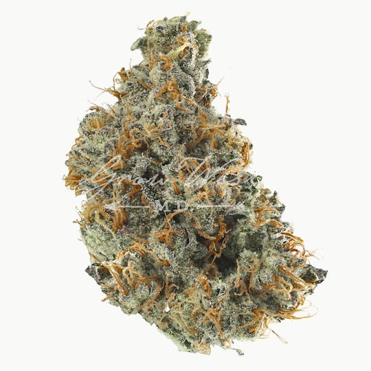 Grow West Cannabis Company - Don Carlos | Gold | Trimmed Flower - 1