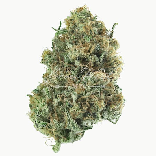 Grow West Cannabis Company - Hindu Hammer | Premium | Hand-Trimmed Flower - 1