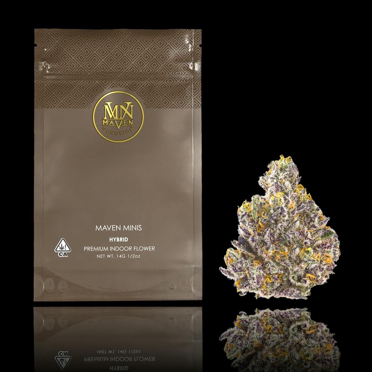 Maven Genetics - Golden Applez Maven Minis [14g] - 1