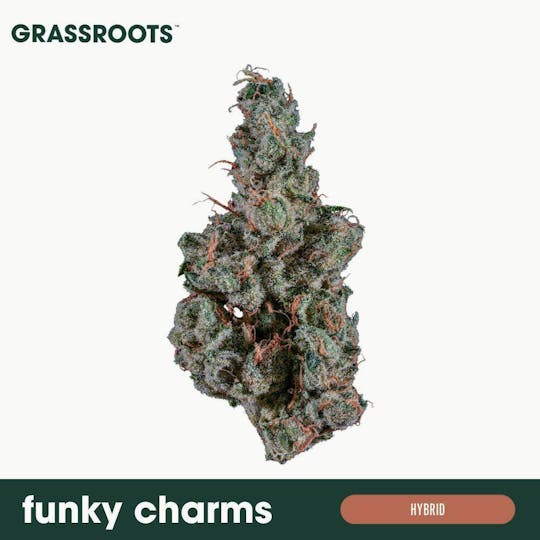Grassroots - Funky Charms Popcorn Flower - 1