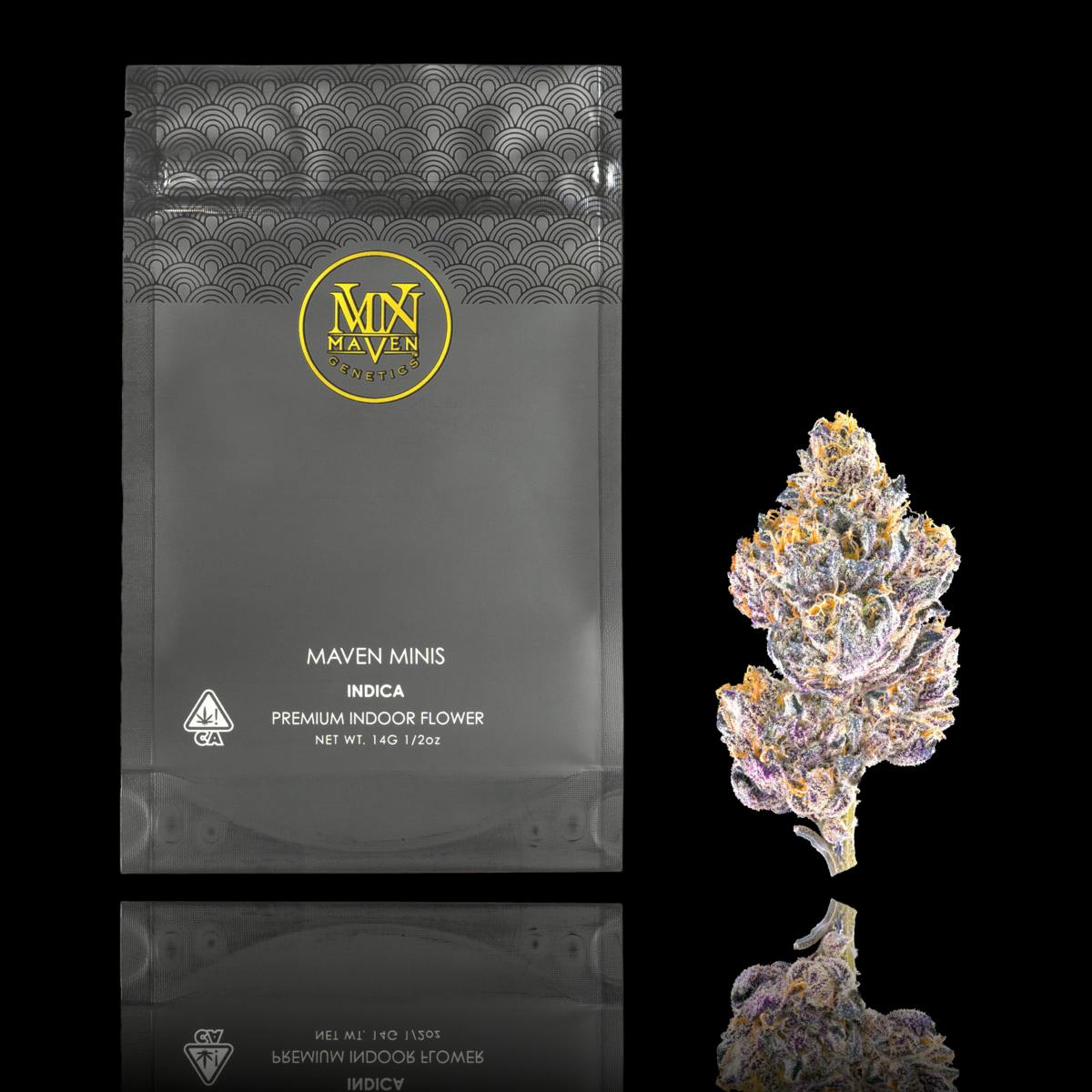 Maven Genetics - Grape Ambrosia Maven Minis [14g] - 1