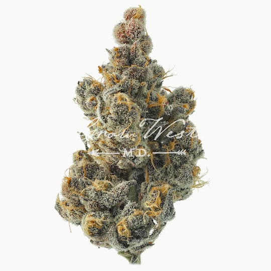Grow West Cannabis Company - Jack Herer | Premium | Hand-Trimmed Flower - 1