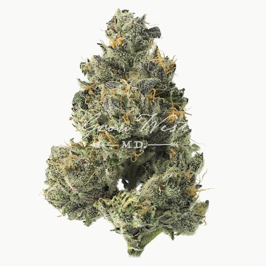 Grow West Cannabis Company - Twin Peaks | Gold | Trimmed Flower - 1