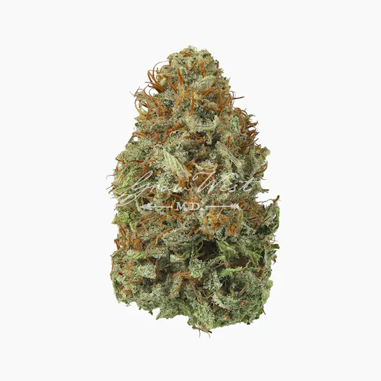 Grow West Cannabis Company - Angus | Reserve | Hand-Trimmed Flower | 3.5g - 1