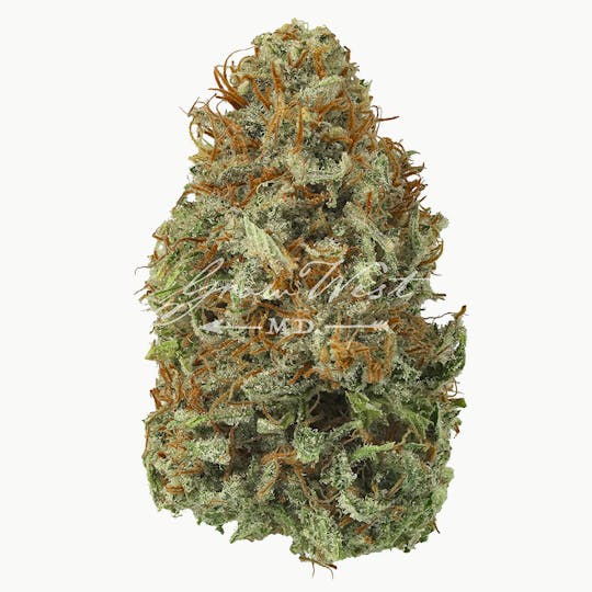 Grow West Cannabis Company - Angus | Premium | Hand-Trimmed Flower - 1