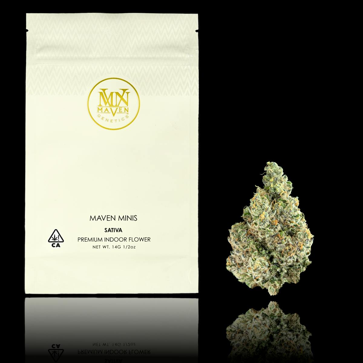 Maven Genetics - Ajo Blanco Maven Minis [14g] - 1