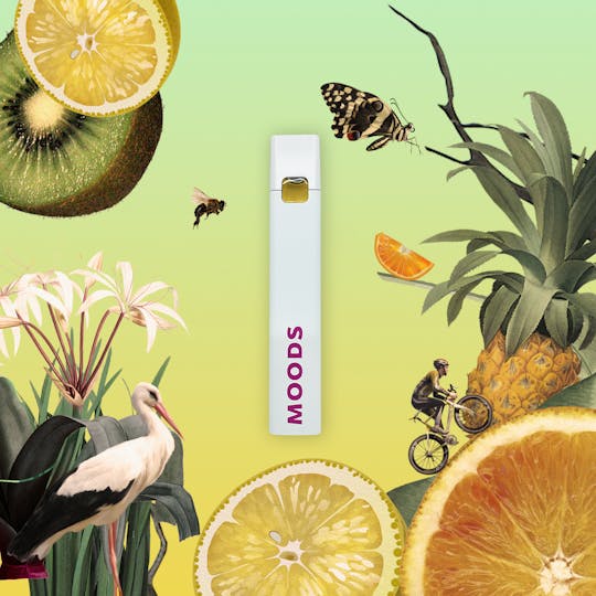 MOODS Cannabis - Everglade Haze - MOODS Dash AIO .5g - 1