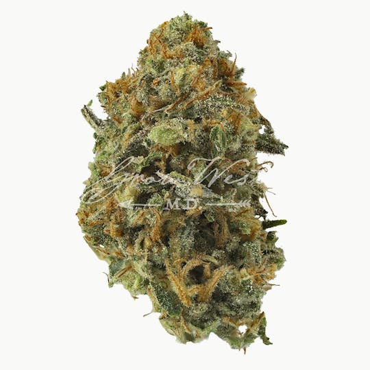 Grow West Cannabis Company - Super Lemon Haze | Gold | Trimmed Flower - 1