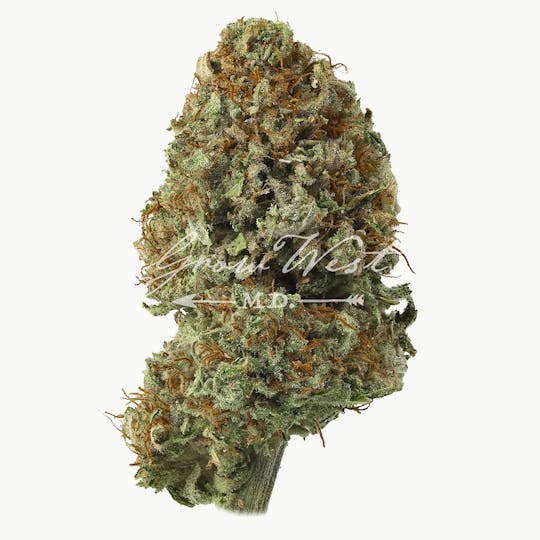 Grow West Cannabis Company - Super Silver Haze | Gold | Trimmed Flower - 1