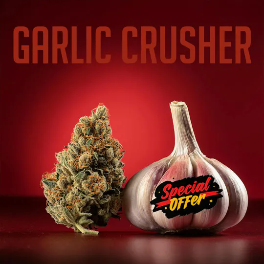 NativeCare Brand - Garlic Crusher #2 | Big Buds | 28g - 1