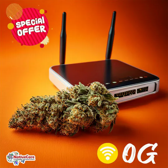 NativeCare Brand - Jungle Wifi | Big Buds - 1