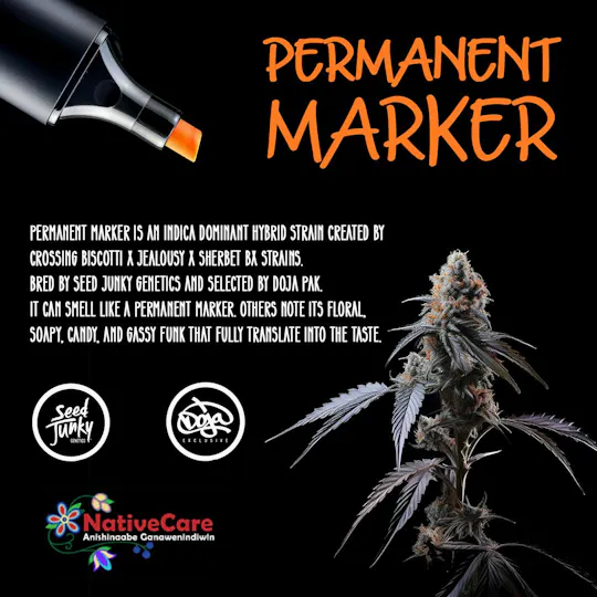 NativeCare Brand - Permanent Marker | Big Buds | 3.5g - 1