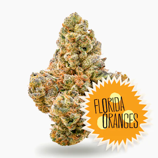 District Cannabis - Florida Oranges Flower - 1